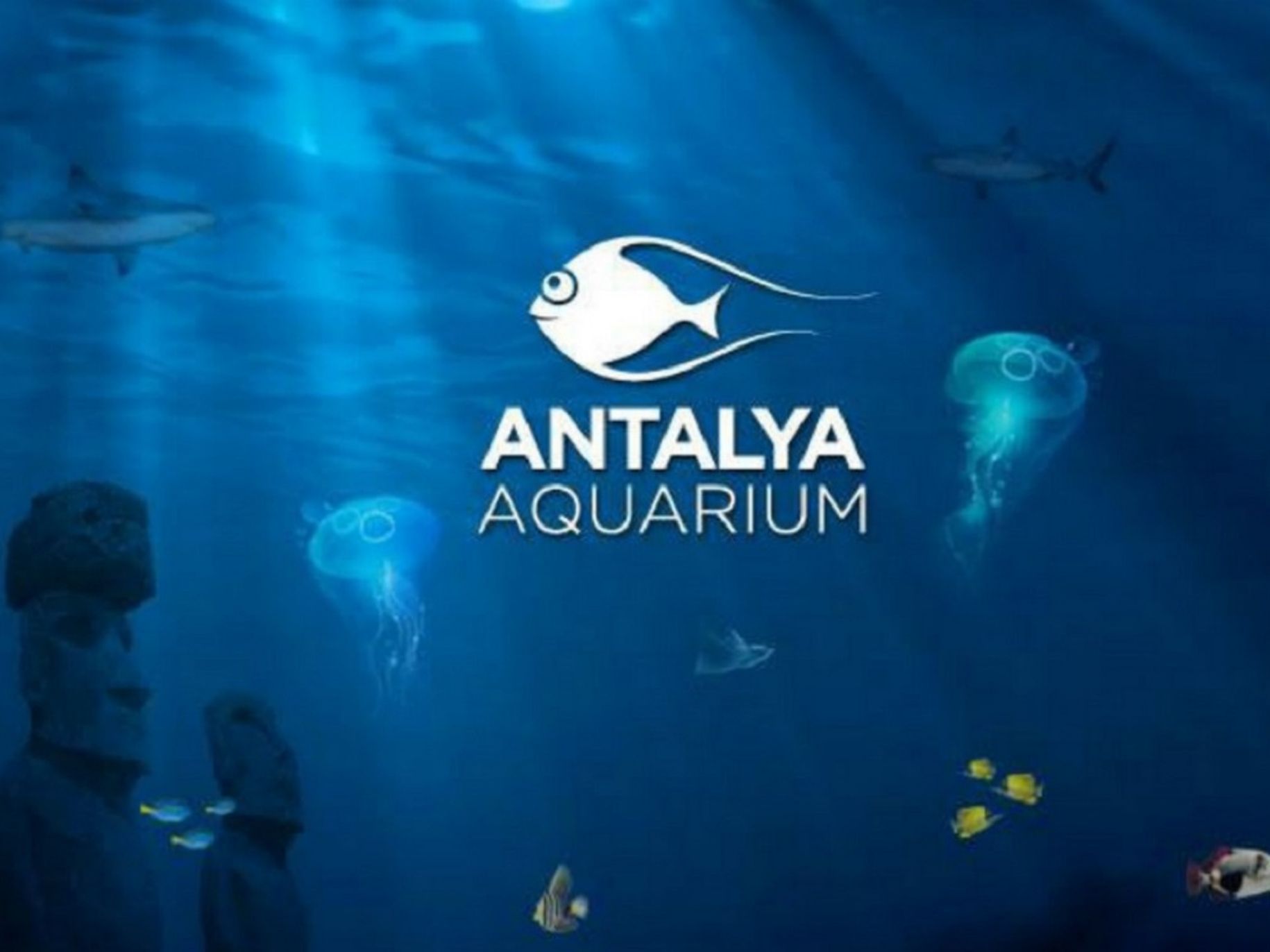 Discover One of the World’s Largest Aquariums in Comfort