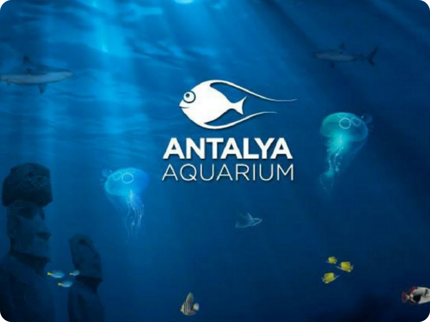 Antalya Aquarium: Explore One of the World’s Longest Tunnel Aquariums